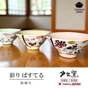 彩りぱすてる　飯碗大