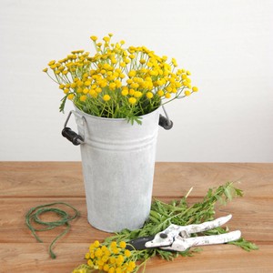 花瓶/花架 Design 特价 中国制造 S尺寸