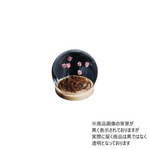 Flower glass dome フラワーガラスドーム 41404
