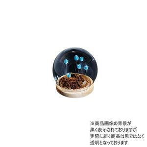 Flower glass dome フラワーガラスドーム 41406
