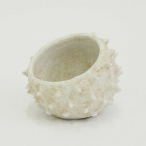Pot/Planter
