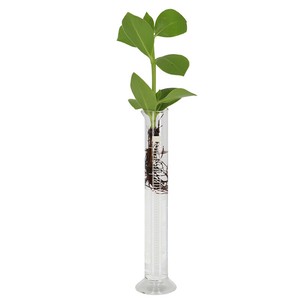 花瓶/花架 Design 特价 中国制造 S尺寸