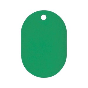 ORIONS　プラスチック番号札(大)　無地　50枚入り　グリーン　NO.16C-G