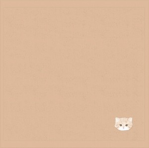 ■2025SS　新作■　モフット　タオルハンカチ　ねこ