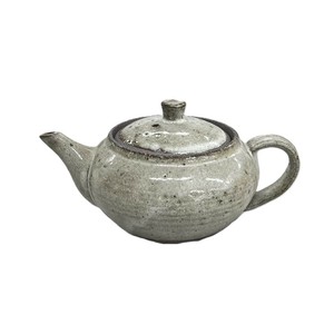 Shigaraki ware Teapot Made in Japan
