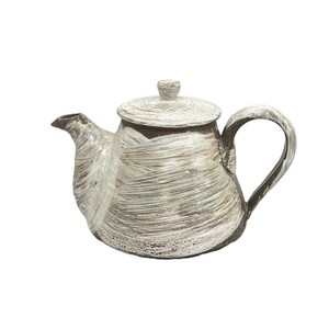 Shigaraki ware Teapot Made in Japan