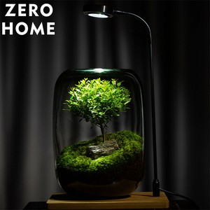 微景観緑植 微景観花瓶 DIY 緑植エコボトル コケ 怠け者造景瓶 花瓶 洗練された