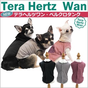 Pre-order Dog Clothes [New Item]