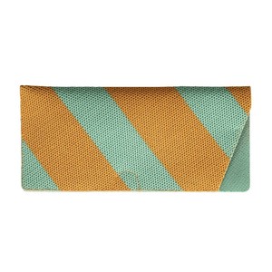 Glasses Cases dulton Mint case