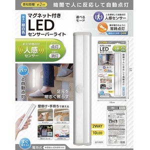 Wall Light