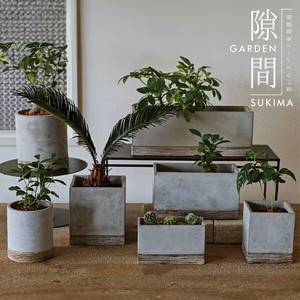 【SOW】FEEL THE GARDEN セメントプランター 植木鉢 フラワーポット インテリア ガーデニング