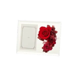フラワーアレンジ フォトミラー レッド F-2776