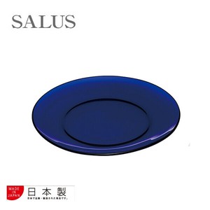 Main Plate 19cm