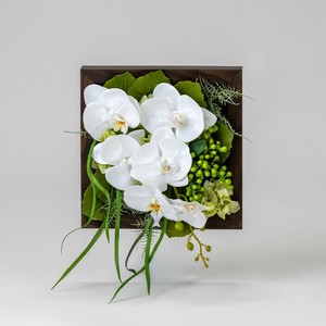 Artificial Plant Arrangement