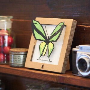 Object/Ornament Square Papercraft Made in Japan