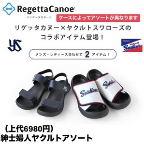 Sandals Collaboration