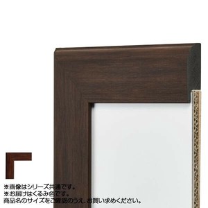 アルナ 樹脂フレーム デッサン額 APS-01 くるみ コピー紙B4 61841