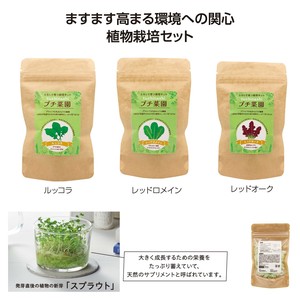 土なしプチ菜園栽培セット