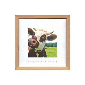 French Photography フォトアート A Cow ZFP-51923