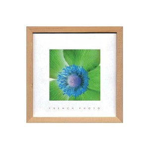 French Photography フォトアート Anemone invert ZFP-51898