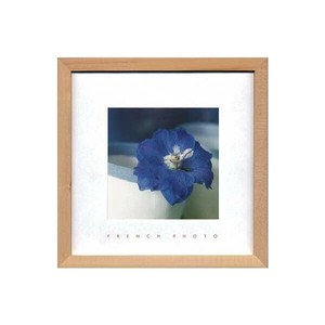 French Photography フォトアート Delphinium elatum ZFP-51918