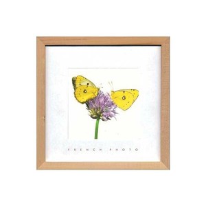French Photography フォトアート Yellow Butterflies ZFP-51924