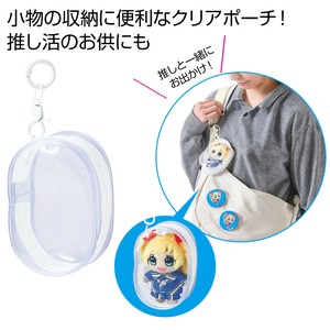 Pouch/Case Clear