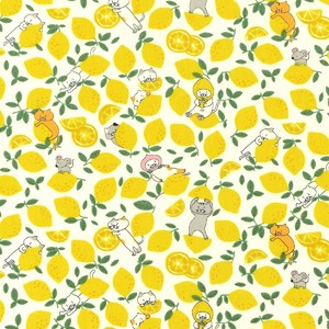 Cotton Broad [New Item] 4-colors