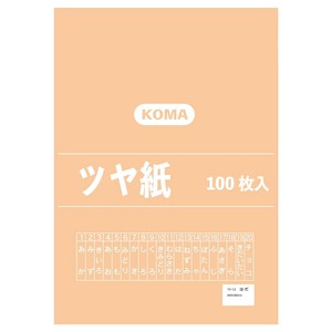 ツヤ紙 100枚入 はだ TY-12 1セット