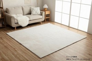 ラピアス ラグ 140×200cm SWH 3987749