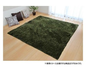 ソフトシャギー調ラグ 「ラルジュ」 2畳 グリーン 約185×185cm 1280200121203