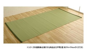 日本製 洗えるカーペット グリーン 江戸間2畳 約174×174cm 1090250120902