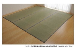純国産い草 上敷き カーペット 糸引織 「湯沢」 団地間3畳 約170×255cm 1010050011302