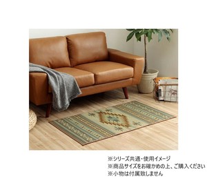 い草 玄関マットFピオス 60×90cm BE 1081990024604