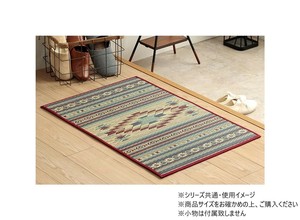 い草 玄関マットFピオス 60×90cm WI 1081990284604