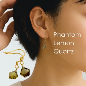 Pierced Earringss Stainless Steel