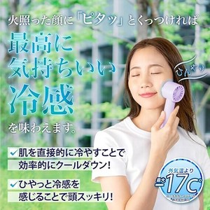 【残り僅か】-17℃ 冷却プレート付きハンディファン ハンディファン ハンディーファン 扇風機 携帯扇風機