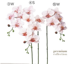 人造植物/人造花