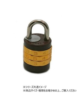 ハイロジック　G-054　10角符号錠　30mm　1個入　71054