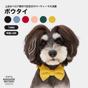 ボウタイ / Bow Tie