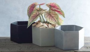 花盆