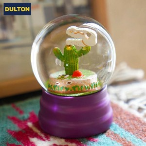 Object/Ornament cactus