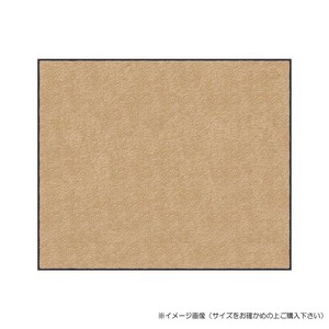(クリーンテックス) スタンダードマットS    シャンペーン  60×90  cm