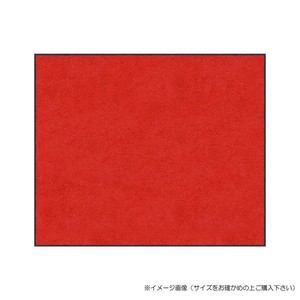 (クリーンテックス) スタンダードマットS    レッド  75×120  cm