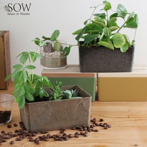 ■2025AW　先行予約■　KITOHAKO　GREENBOX