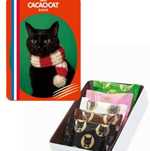 【クリスマス数量限定！】CACAOCAT SAND缶 5個入 CHRISTMAS（ラングドシャ）