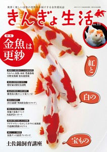 宠物/动物书籍