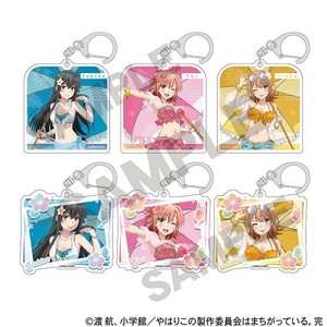 ■2025AW　先行予約■　やはり俺の青春ラブコメはまちがっている。完　アクリルキーホルダー BOX