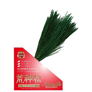 A&K 日本製プリザーブド 関東式荒神松 国産松使用 Mサイズ CK-012M