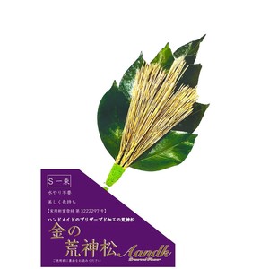 A&K 日本製プリザーブド 金の荒神松S(金の松) GKJ-002